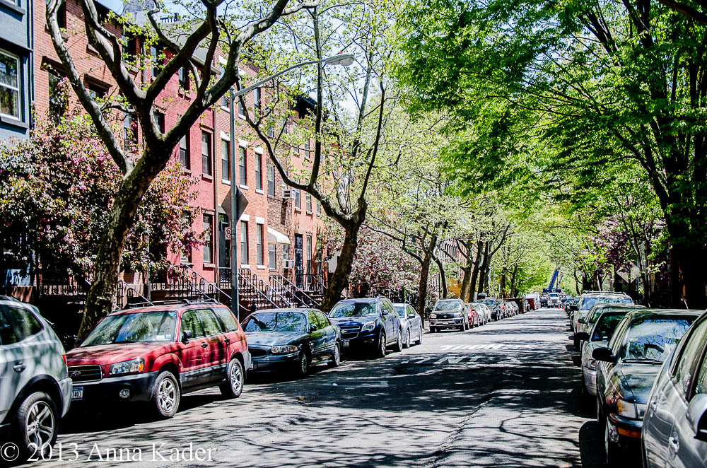 Boerum Hill Brooklyn Suburban Charm and Urban Sophistication